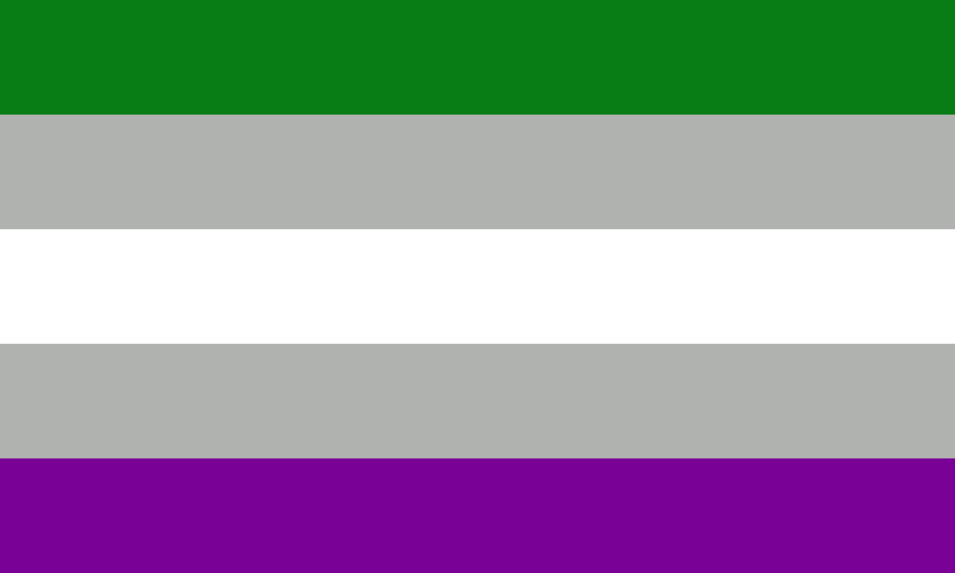 Gray Aro-Ace Flag